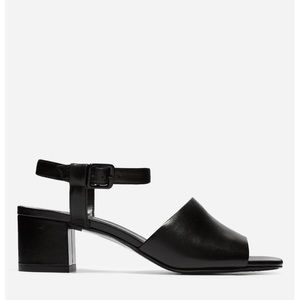 Everlane Block Heel Sandal in Black Leather